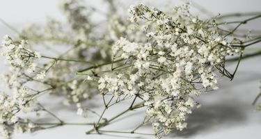 Hazırlanışına Göre