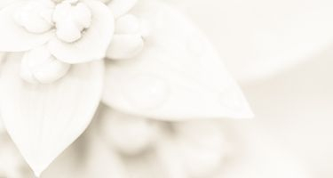 Geçmiş Olsun Çiçekleri