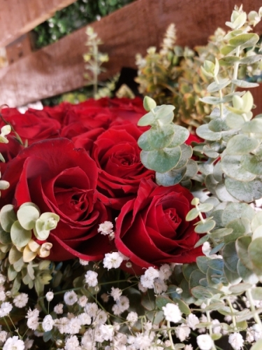 Kız İsteme 41 Gül