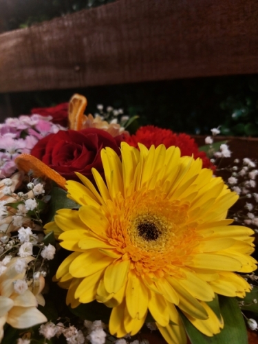 Fanus da Renkli Çiçekler