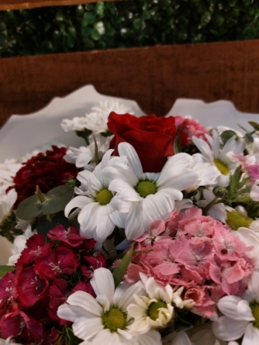 Papatya Hüsnüyusuf ve Tek gül