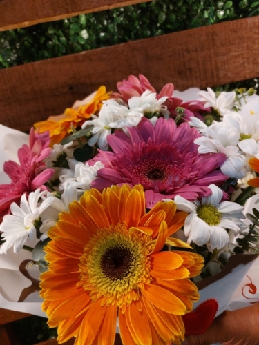 Beyaz Buketlik Renkler