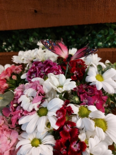 Vazo da Hüsnüyusuf