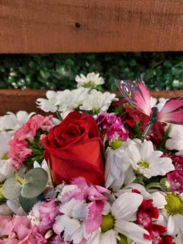 Vazo da Gül ve Hüsnüyusuf