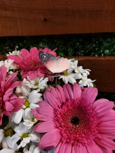 3 Pembe Gerberia Vazo