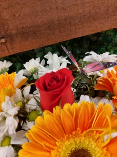 Turuncu Gerberia ve Gül