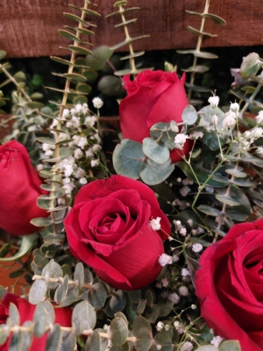 Fanus da 5 Kırmızı Gül