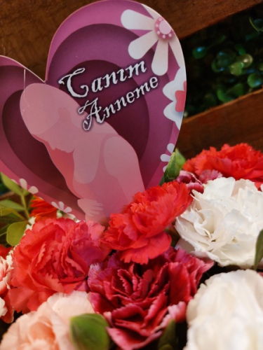 Anneye Özel Arajmanımız