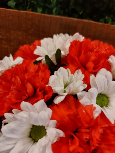 Red-White Flowers