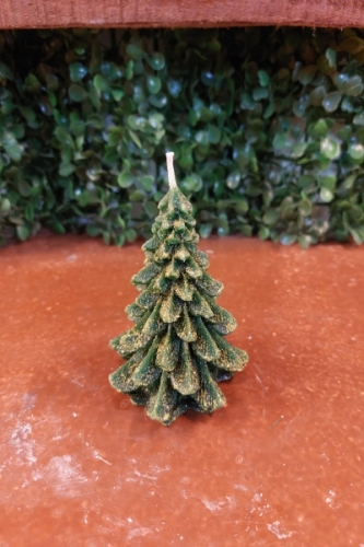 Çam Ağacı Küçük