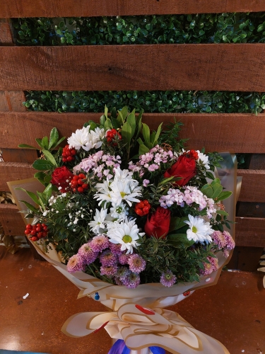 Papatya ve Kokinalar