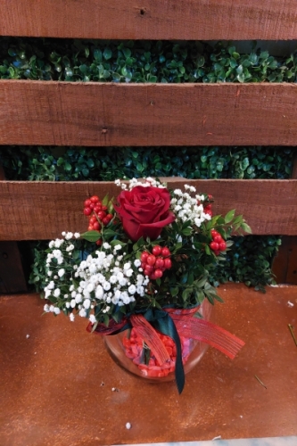 1 Gül 6 Kokina Fanus