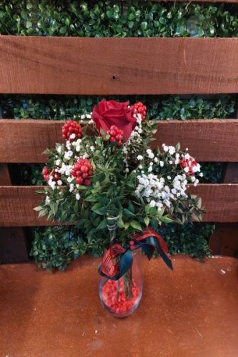 1 Gül 6 Kokina Vazo