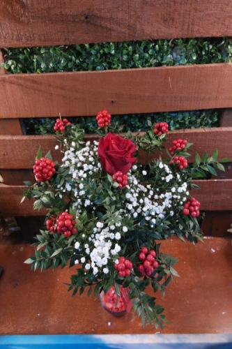 1 Gül 12 Kokina Vazo